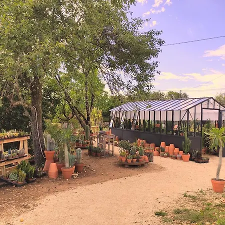 Le Cactus Orange 2 à 4 Personnes Avec Entrée Indépendante *